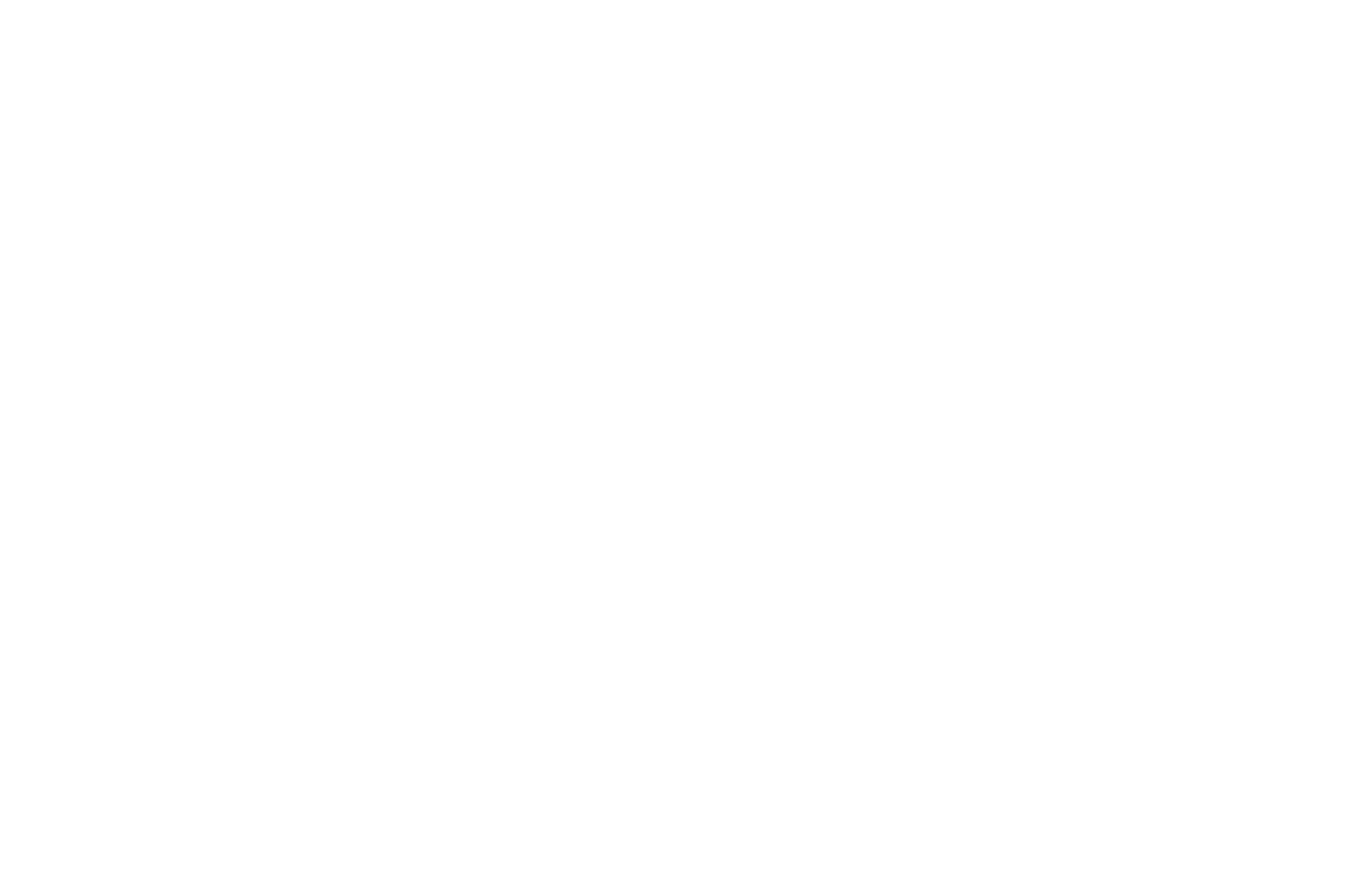 Best Feature — Hollywood Film Competition